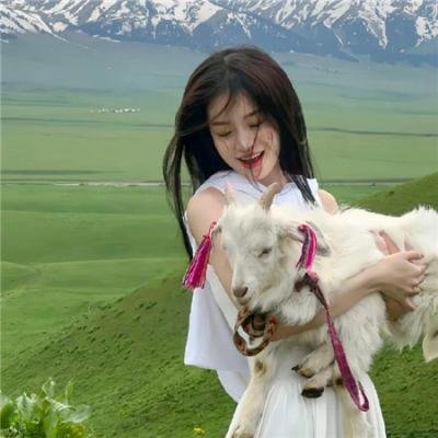 暴力的种子