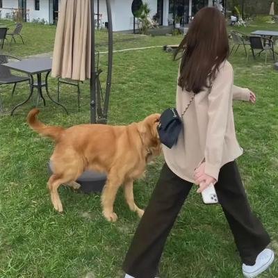 请你杀了我